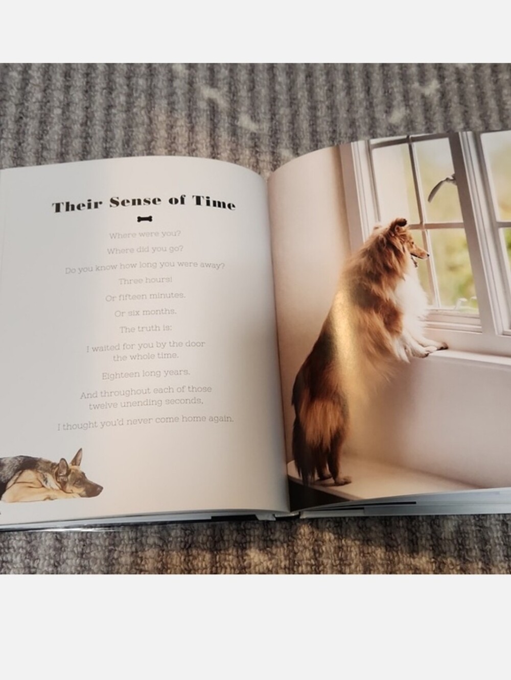 For The Love Of Dogs Book by Katharina von der Leyen - Picture 9 of 17